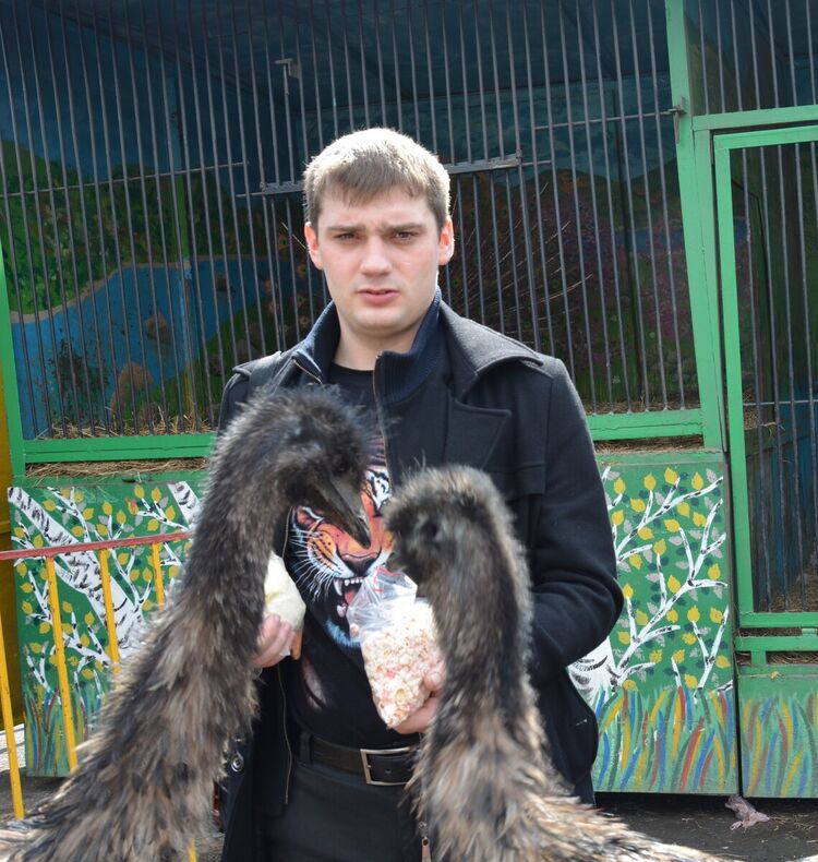 ���������� �����������, ���� ������� ����, 32 ����, ������������ ��� ������, ����� � ���������, c�������� ���������