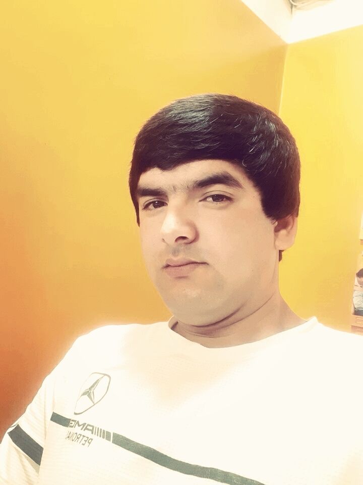  27688421  , 31 ,    
