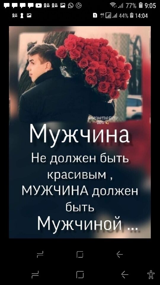  28969291  , 67 ,    