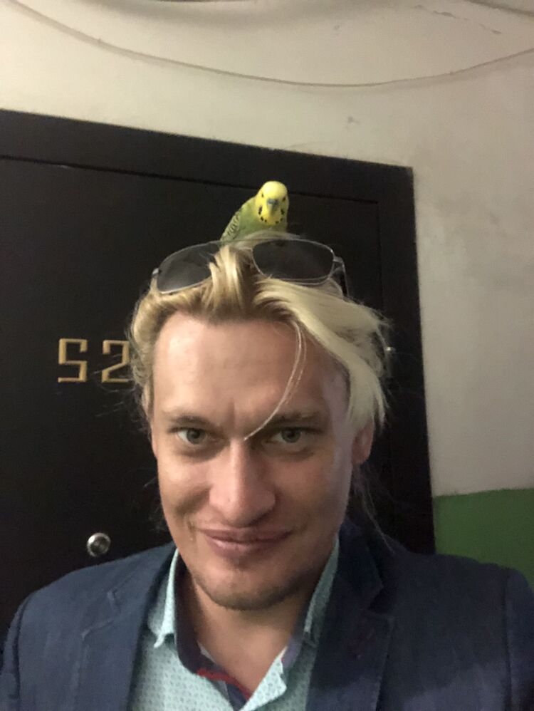 ���������� �������, ���� ������� �����, 38 ���, ������������ ��� ������, ����� � ���������, ���������