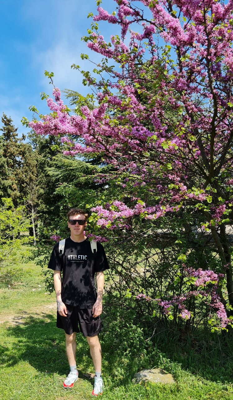 ���� 42647481 ������� ������, 31 ���, ���� ���������� � �����������