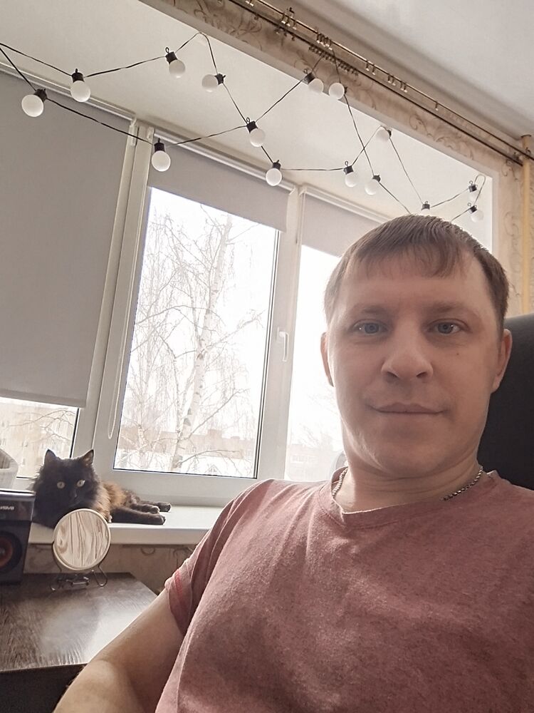 ���� 55584941 ������� ����, 36 ���, ���� ���������� � ���������