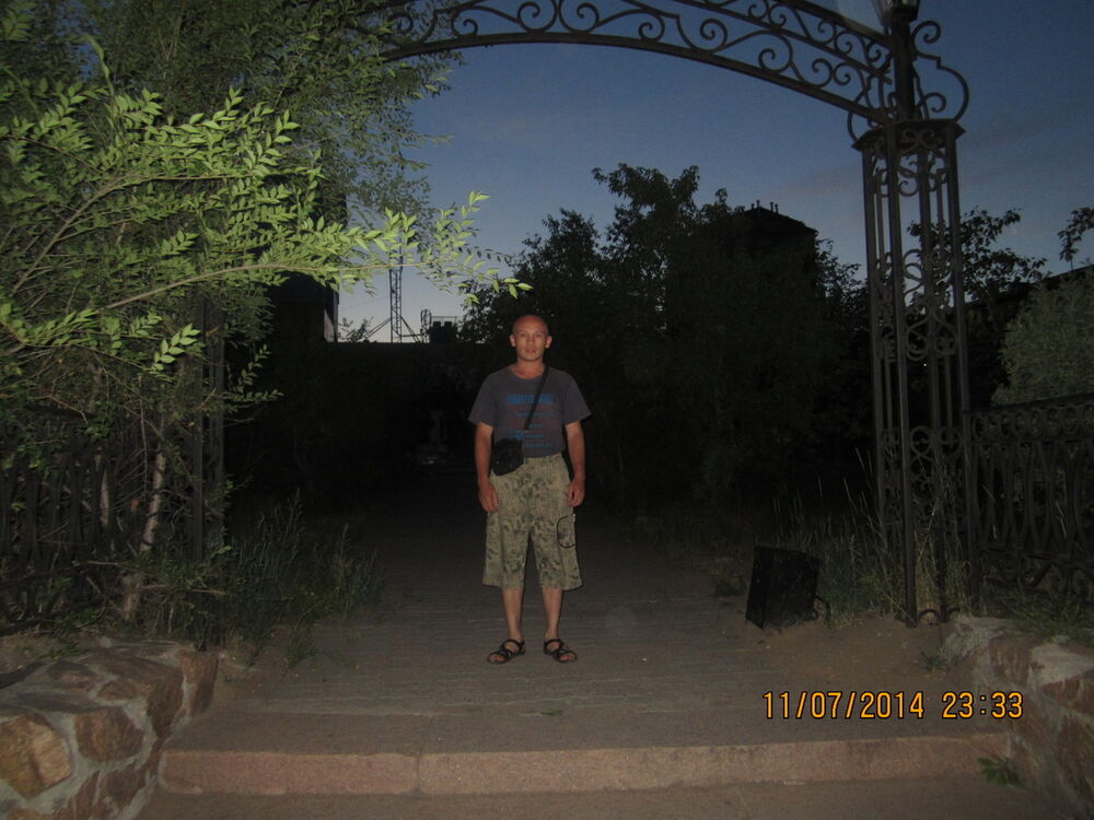  4681801  , 41 ,    -