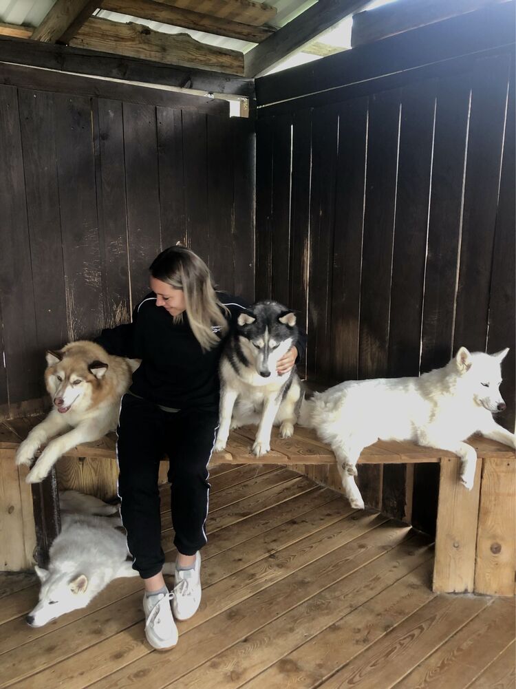 ���������� �����������, ���� ������� ���������, 29 ���, ������������ ��� c�������� ���������