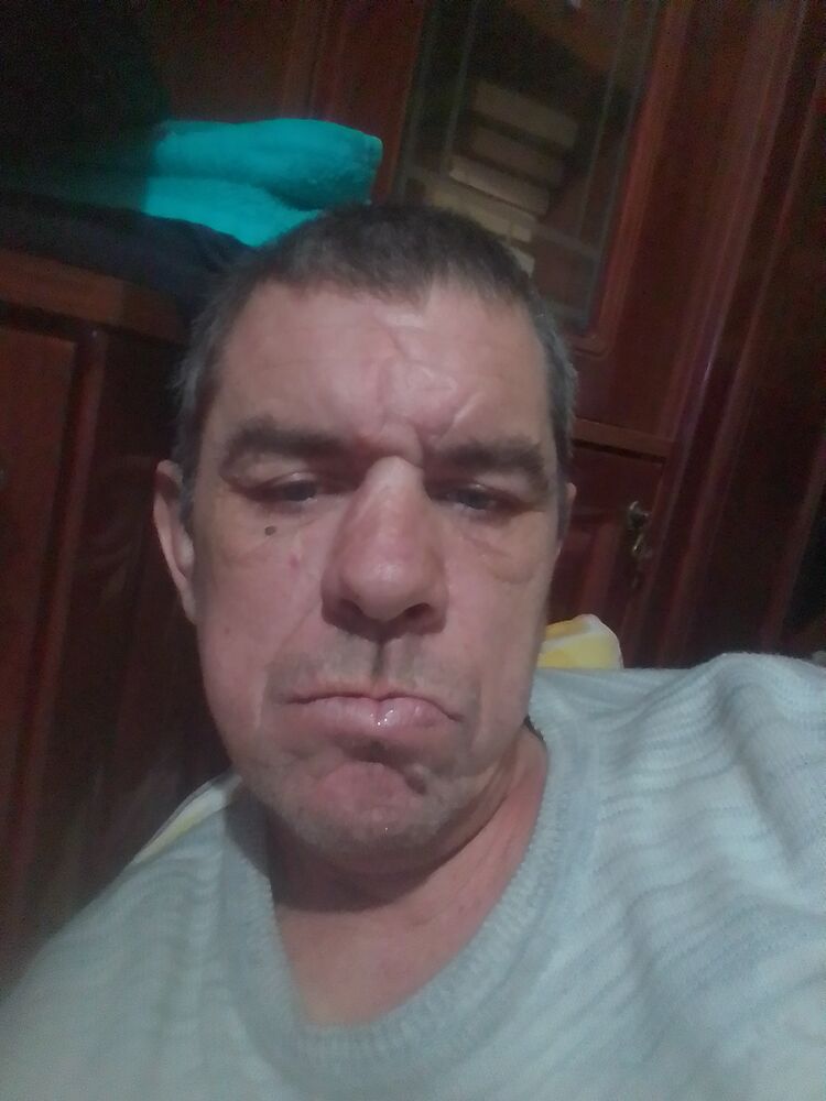  48099561  , 48 ,    
