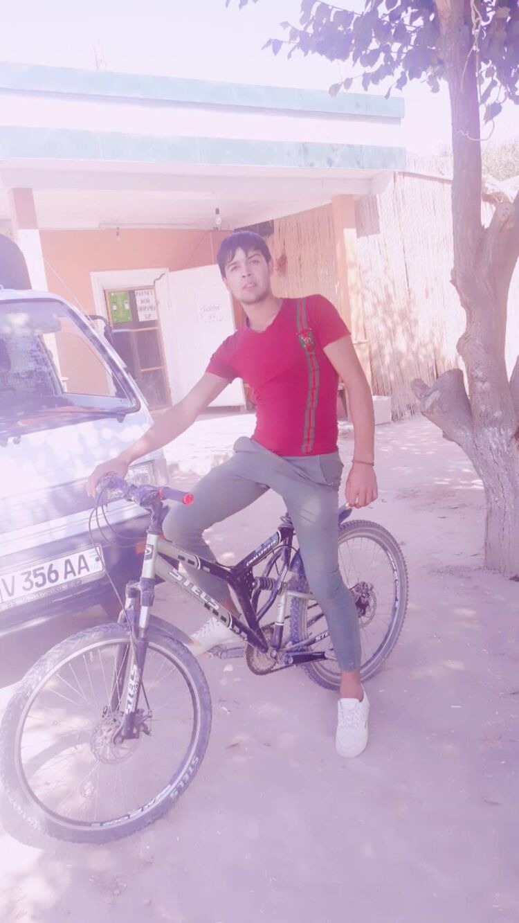 ���� 31368231 ������� �����, 33 ����, ���� ���������� � ��������