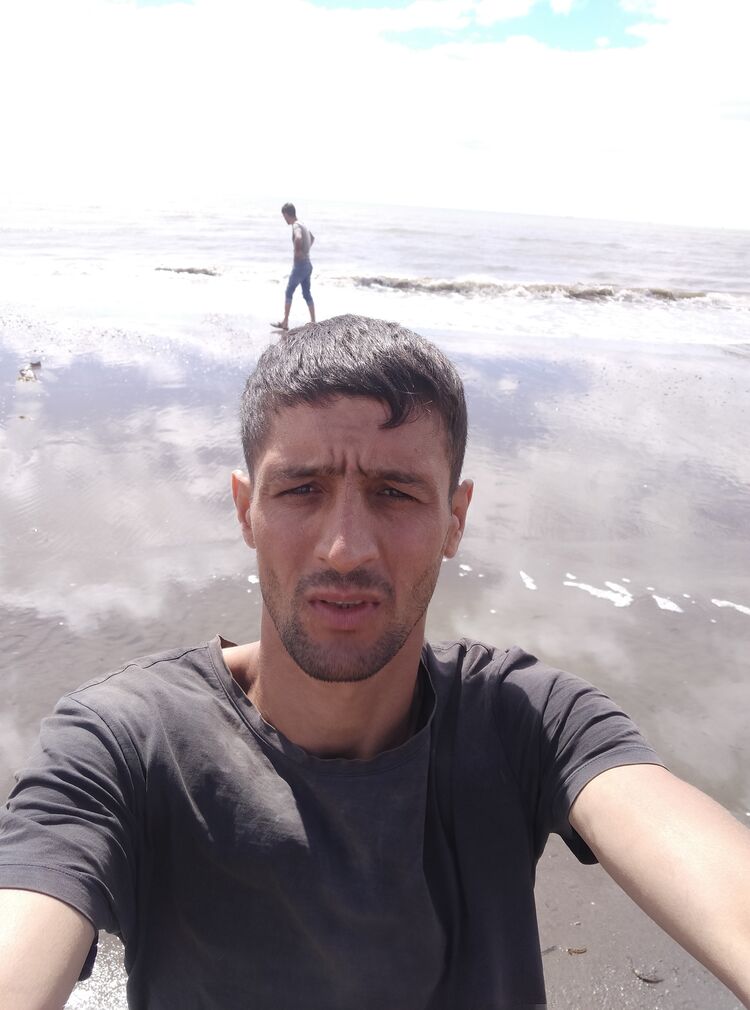  31671221  , 34 ,    -