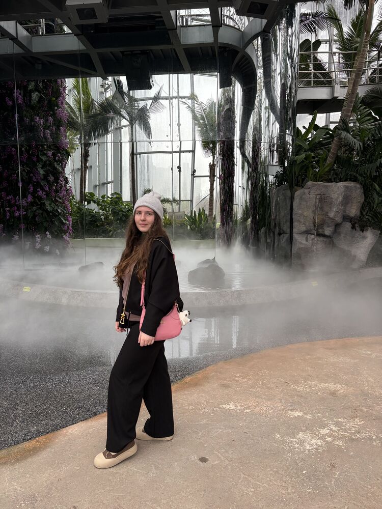 ���������� �����������, ���� ������� �����, 24 ����, ������������ ��� ������, ����� � ���������