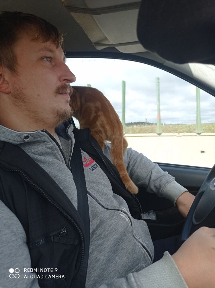 ���������� �����, ���� ������� ������, 32 ����, ������������ ��� ������, ����� � ���������