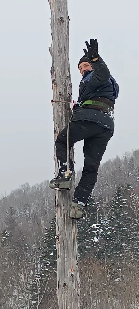 ���� 55683911 ������� ���������, 32 ����, ���� ���������� � ����-����������