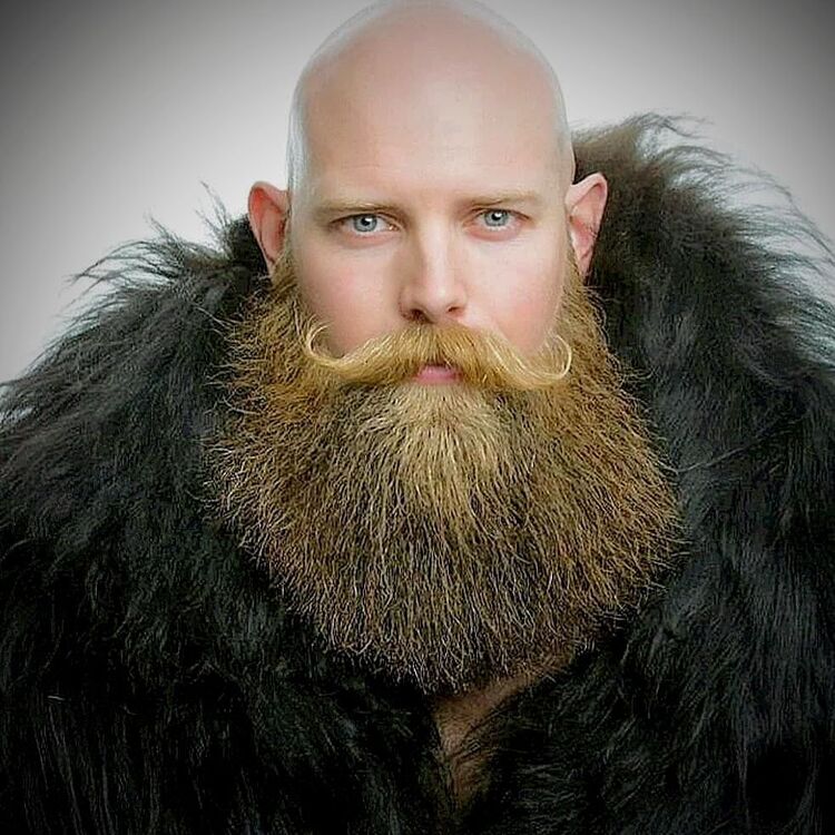 ���� 32775651 ������� ����, 47 ���, ���� ���������� � �������