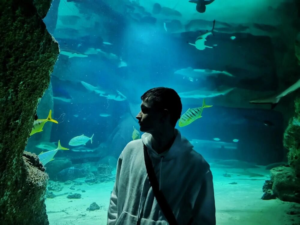 ���� 28654071 ����� ����, 21 ���, ���� ���������� � �����