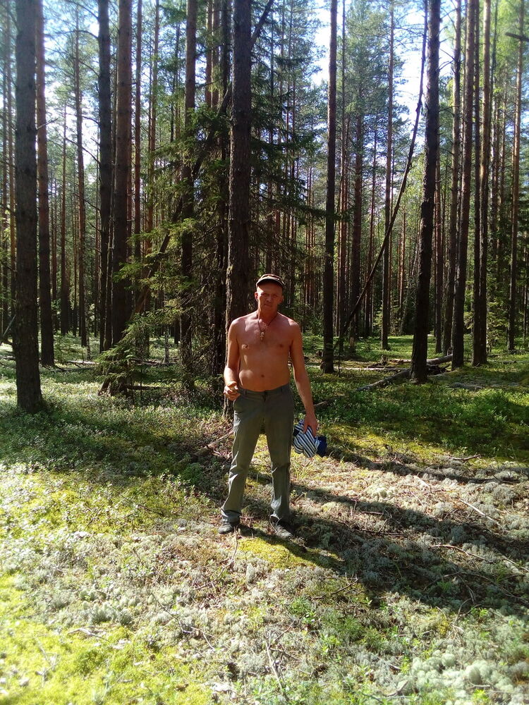  9910821  , 45 ,    