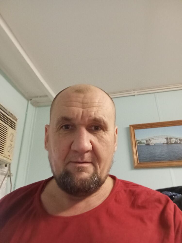  50336781  , 46 ,    
