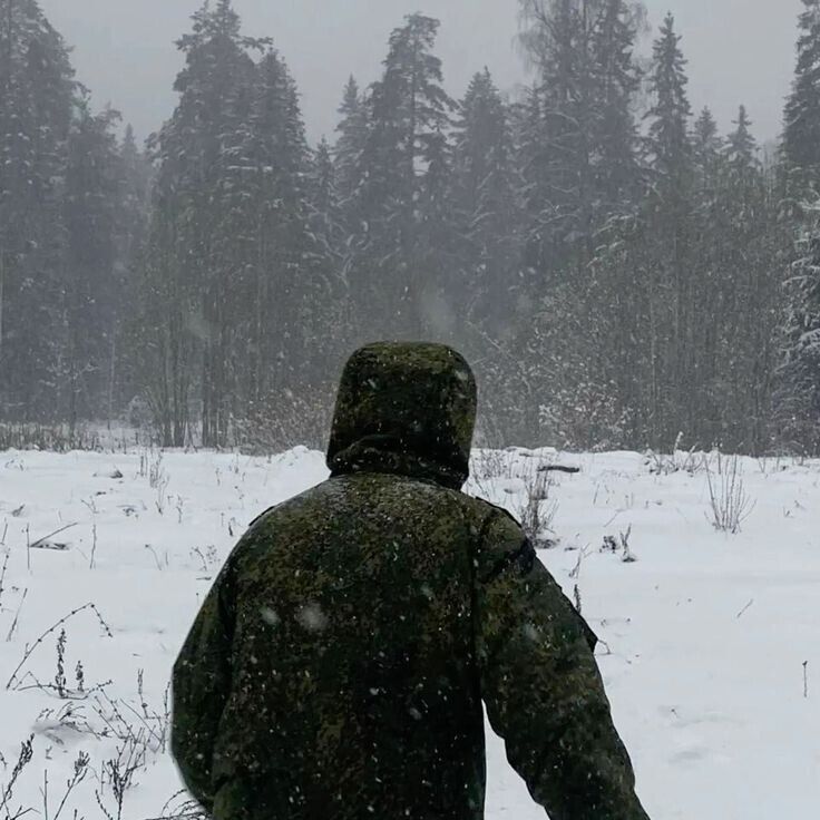  53388461  , 22 ,    -