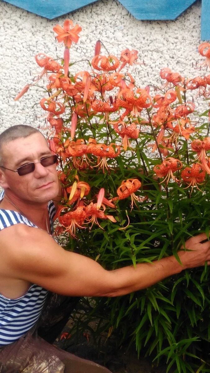  17300371  Denis, 44 ,    