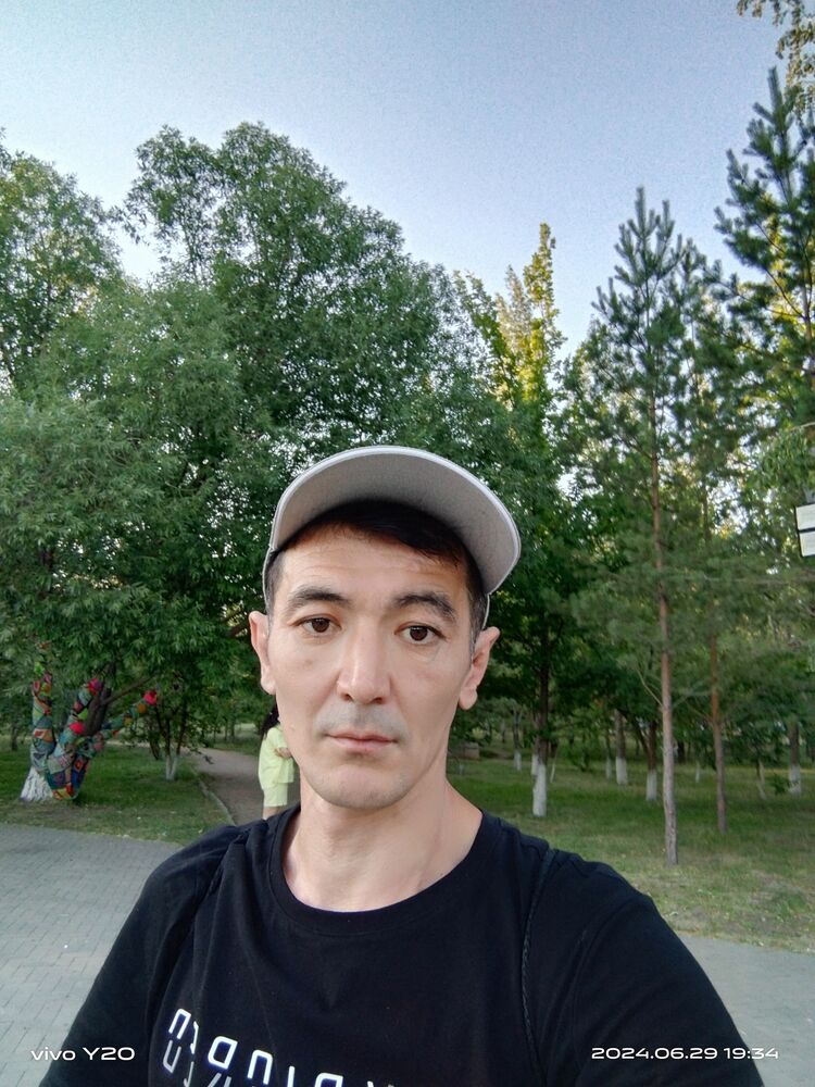  44563711  , 43 ,    -