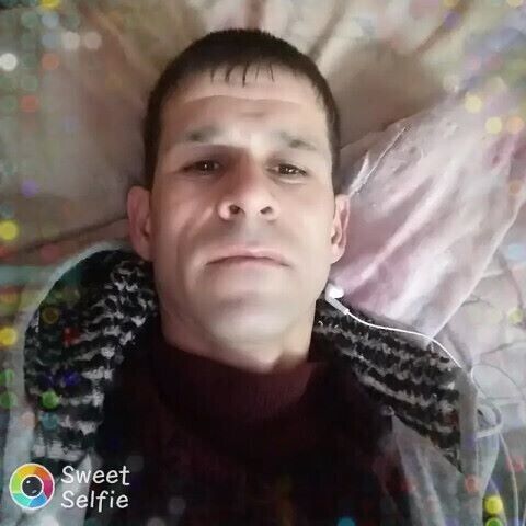 ���� 22184481 ������� ��������, 44 ����, ���� ���������� � ������