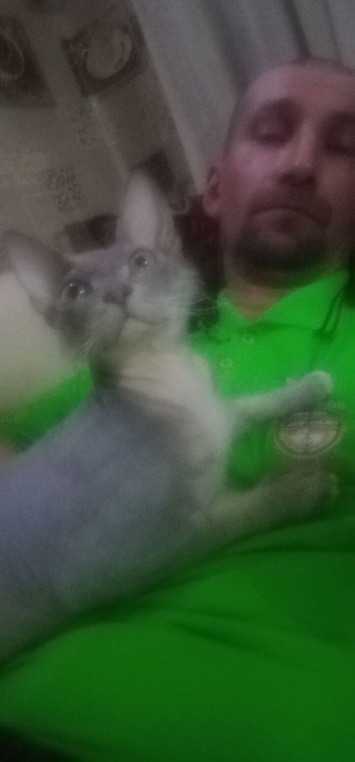 ���������� �����������, ���� ������� �������, 48 ���, ������������ ��� ������, ����� � ���������, c�������� ���������, ���������