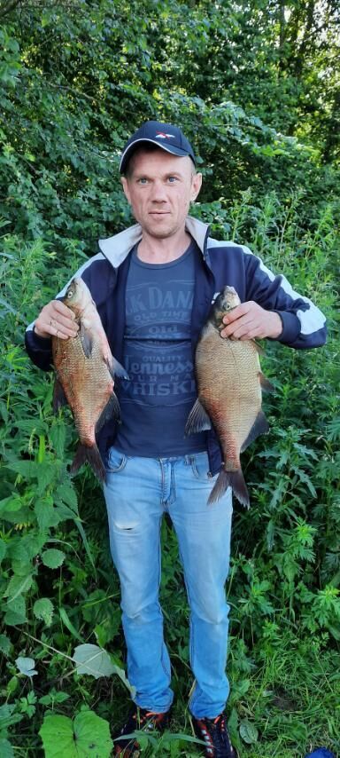 ���������� �����, ���� ������� �������, 44 ����, ������������ ��� ����� � ���������, c�������� ���������