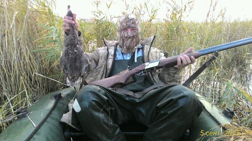 ���� 6664251 ������� ����, 40 ���, ���� ���������� � ��������