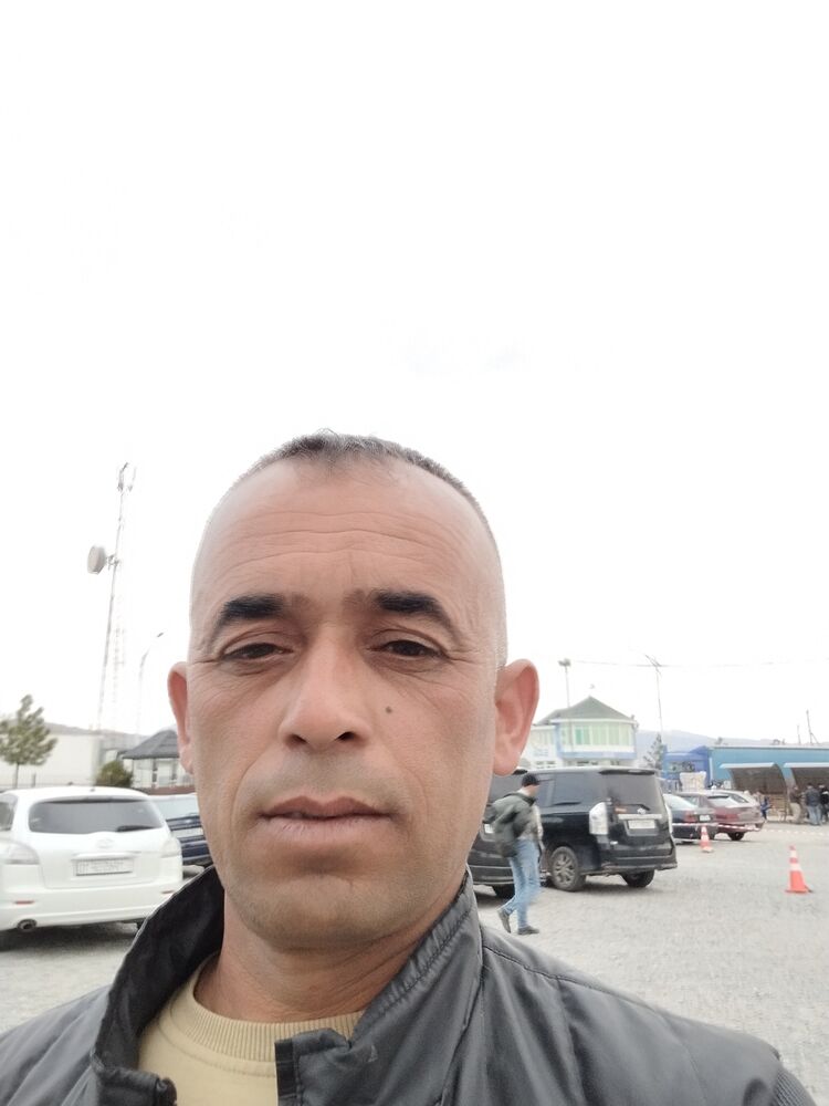  43633531  , 44 ,    