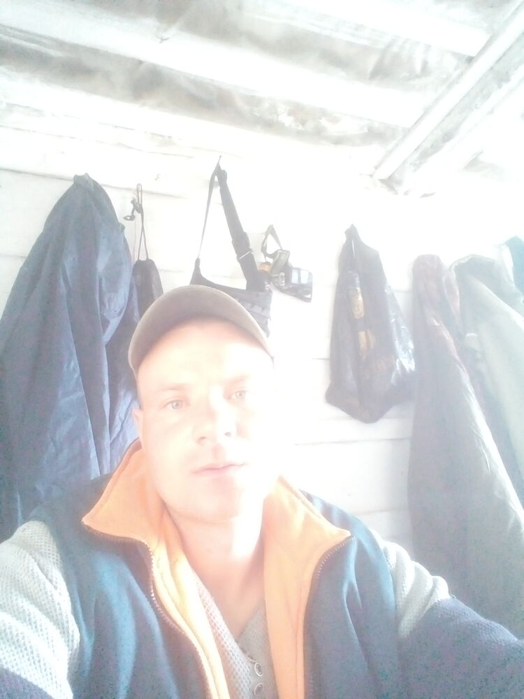  43746441  , 38 ,    