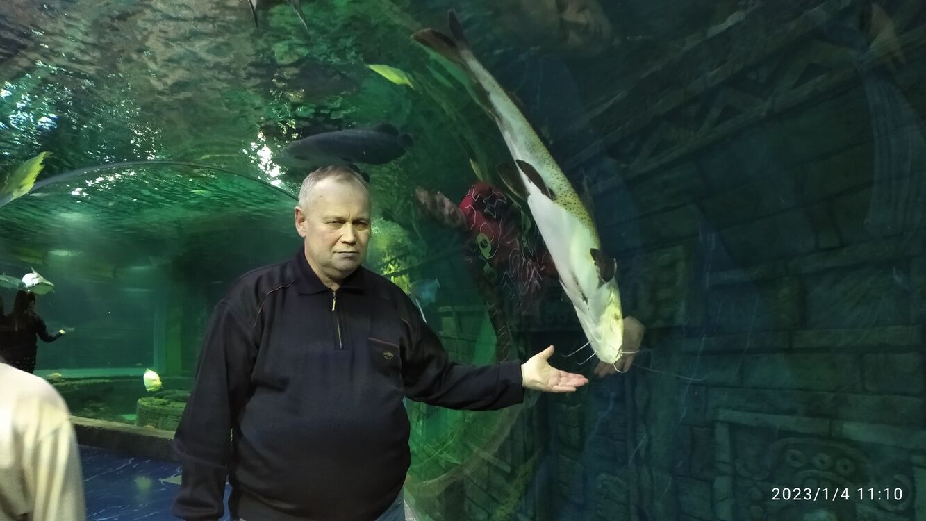 ���� 39517171 ������� ���������, 61 ���, ���� ���������� � ������