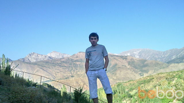 ���� 942491 ������� Shoh, 41 ���, ���� ���������� � ��������