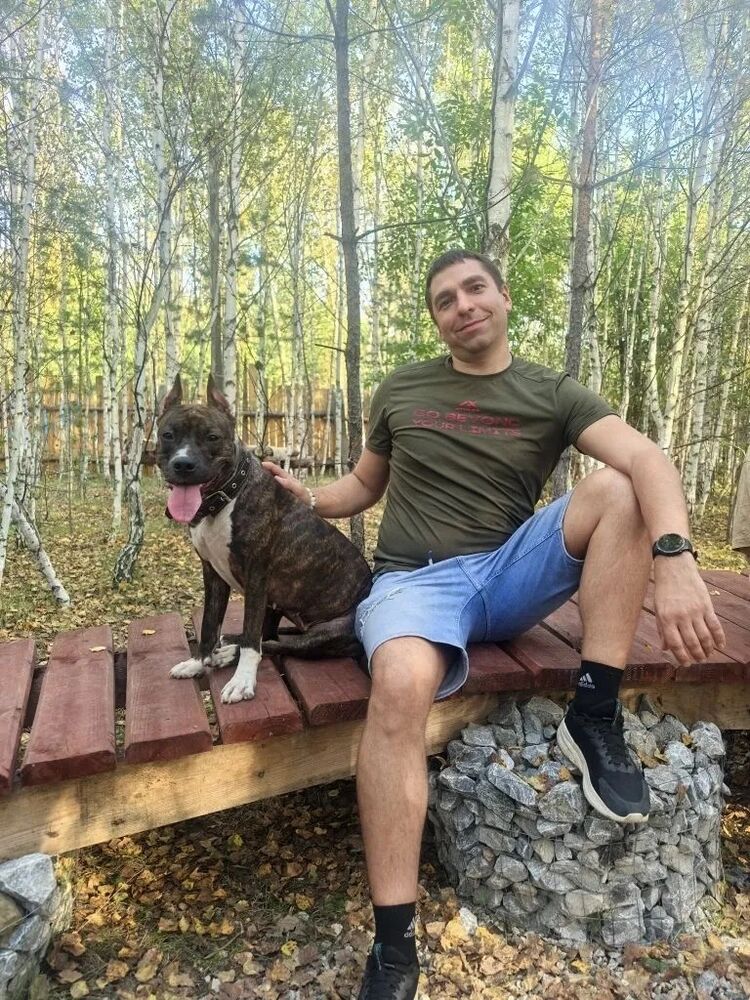 ���� 53427491 ������� ������, 40 ���, ���� ���������� � ������