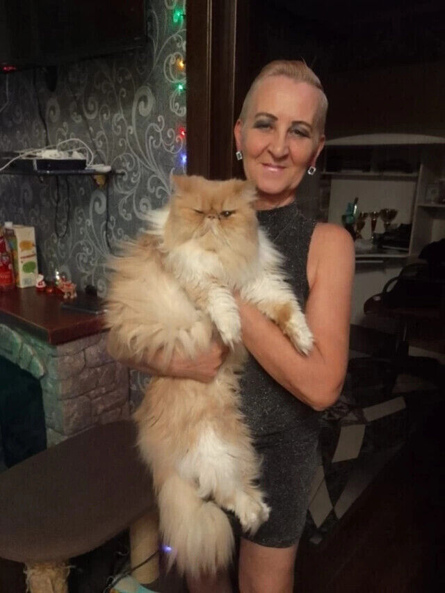 ���������� ���������, ���� ������� ��������, 66 ���, ������������ ��� ����� � ���������, c�������� ���������