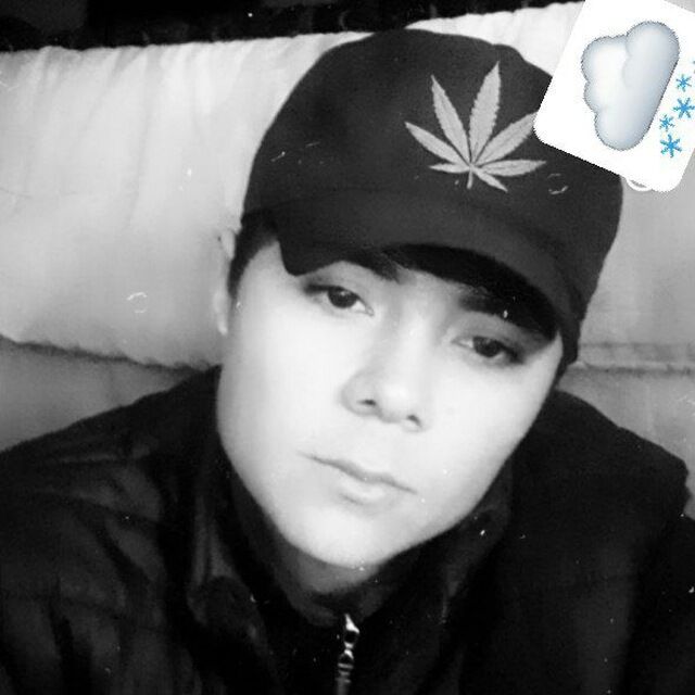 ���� 26666001 ����� �����, 23 ����, ���� ���������� � ������