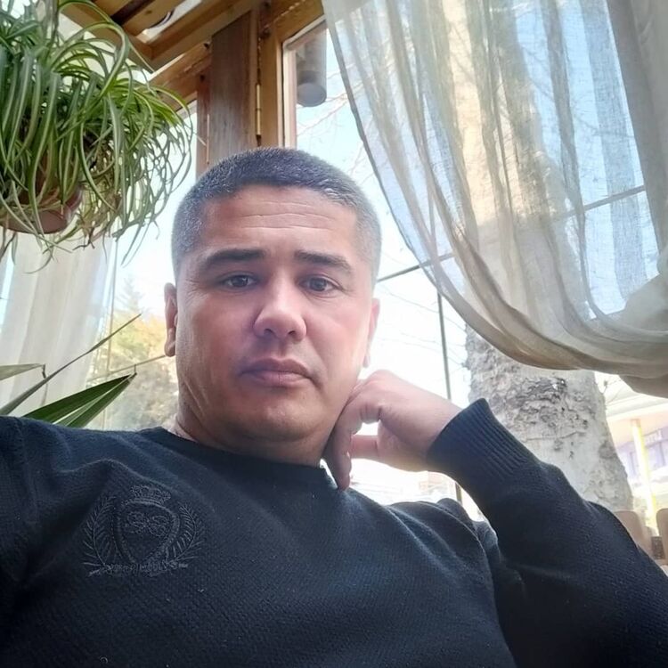  36586801  , 41 ,    -