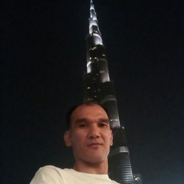  41665391  , 46 ,    