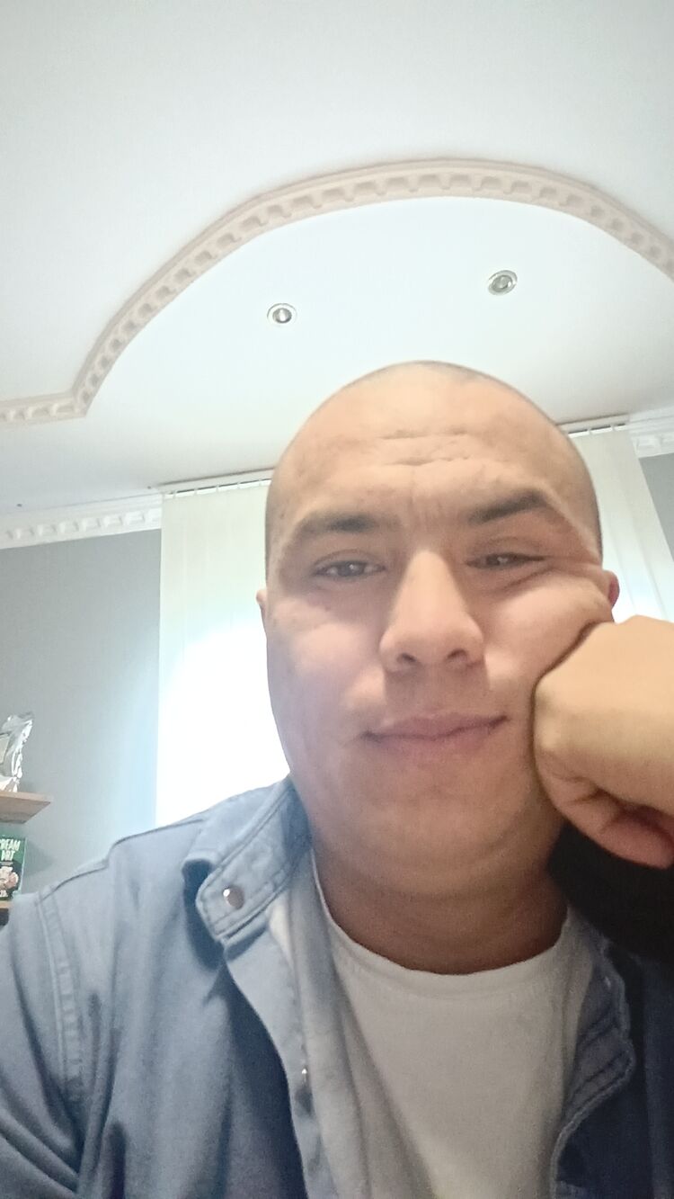  53058681  , 33 ,    