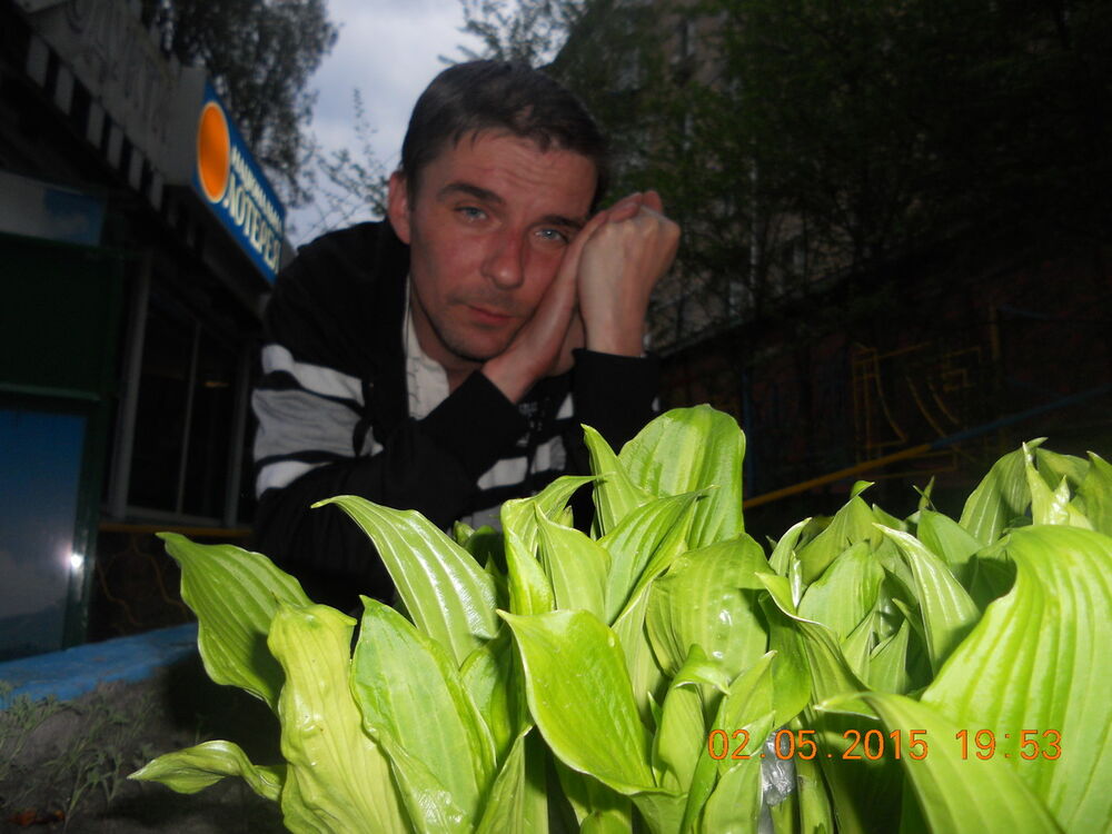 ���������� ����, ���� ������� ���, 47 ���, ������������ ��� ������