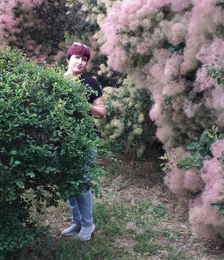 ���� 24231781 ������� �����, 46 ���, ���� ���������� � �����