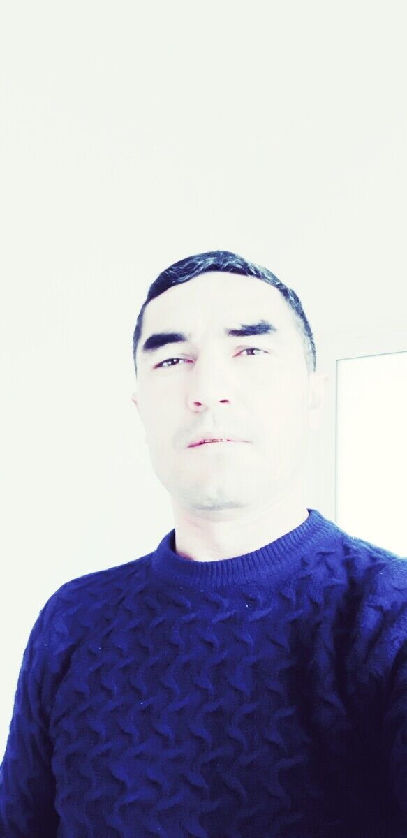  20088481  , 41 ,    