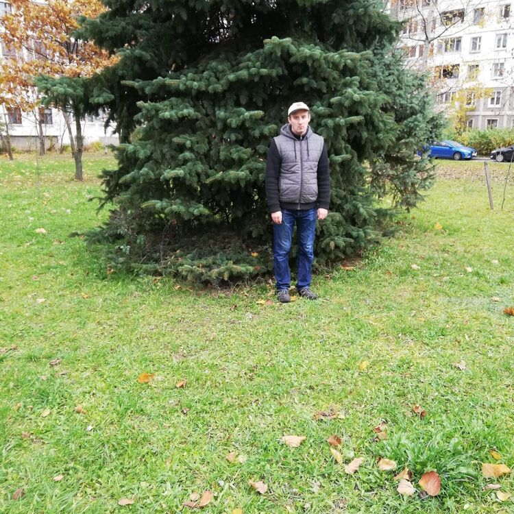 ���� 24065891 ������� �����, 39 ���, ���� ���������� � ������