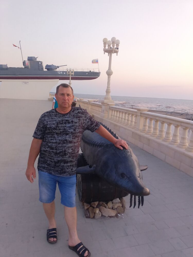  53055431  , 56 ,    -