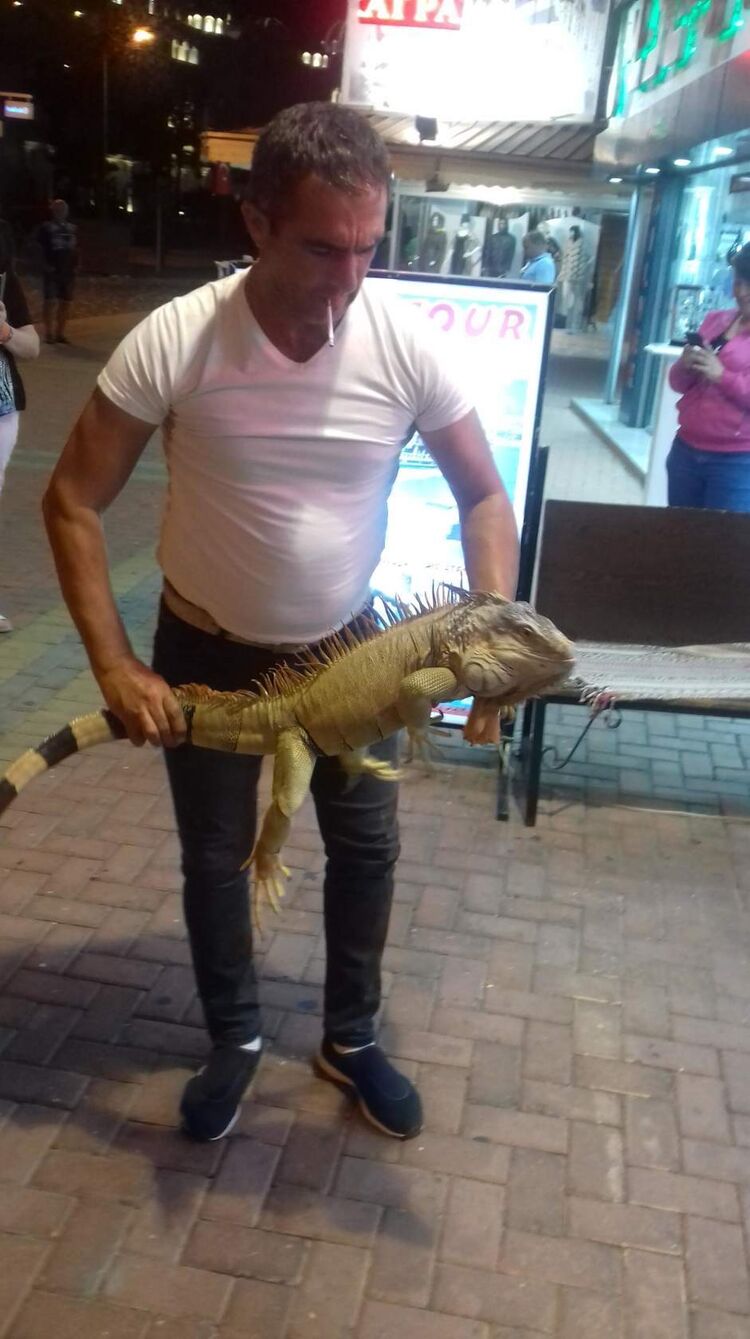 ���� 44314061 ������� �������, 46 ���, ���� ���������� � ������