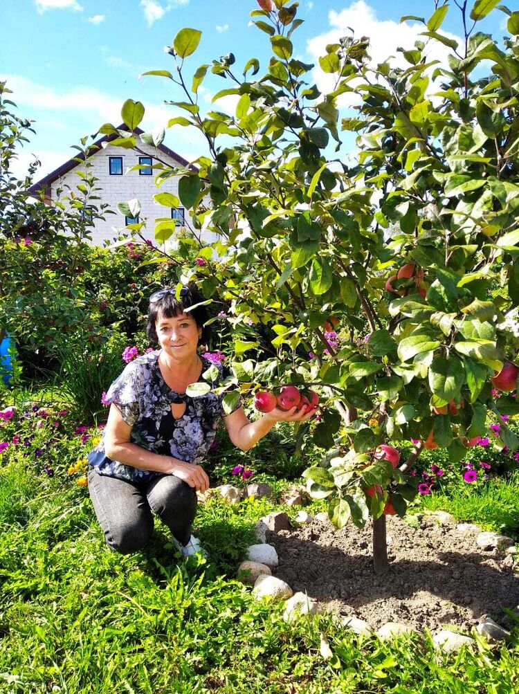 ���� 52234791 ������� ������, 64 ����, ���� ���������� � �������