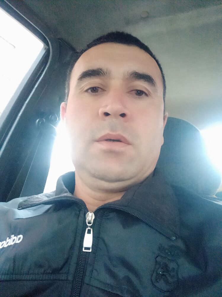  31065511  , 41 ,    