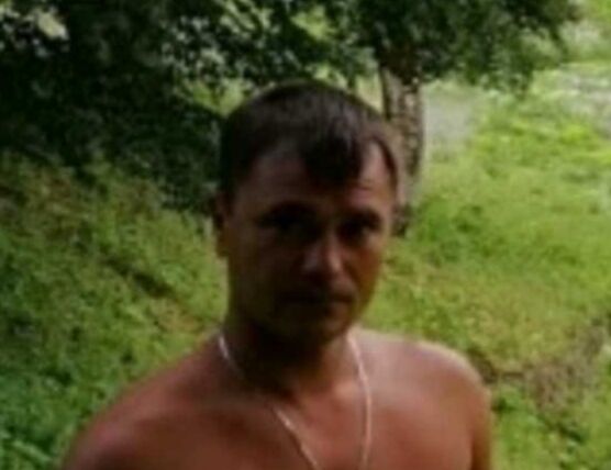 ���� 53896081 ������� ����, 41 ���, ���� ���������� � ���������