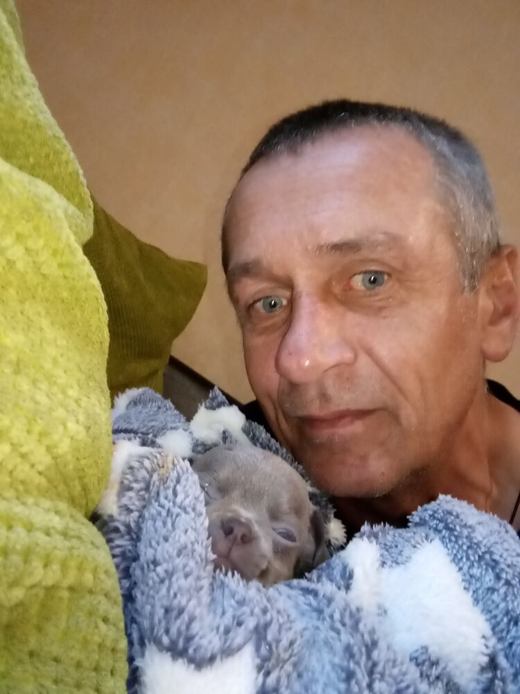 ���� 36577591 ������� ����, 51 ���, ���� ���������� � ������