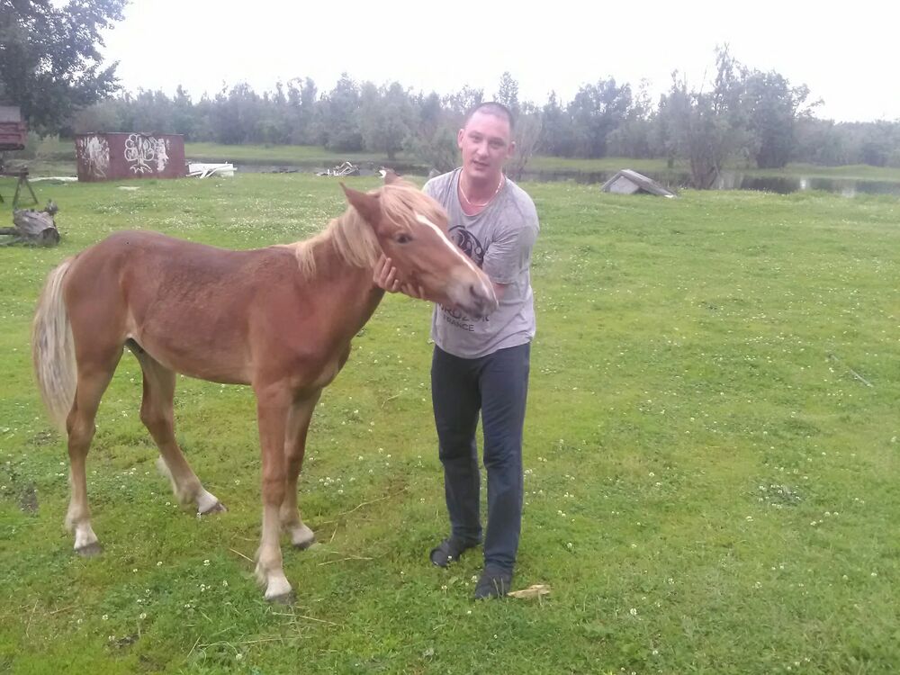 ���������� ������, ���� ������� ������, 37 ���, ������������ ��� ����� � ���������, c�������� ���������