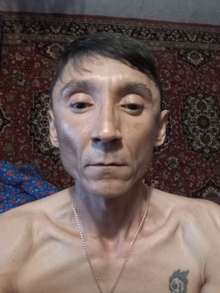  44666161  , 43 ,    