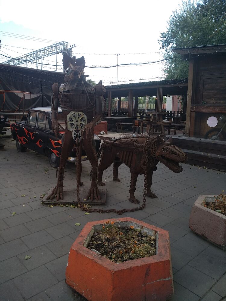  29240871  , 54 ,    -