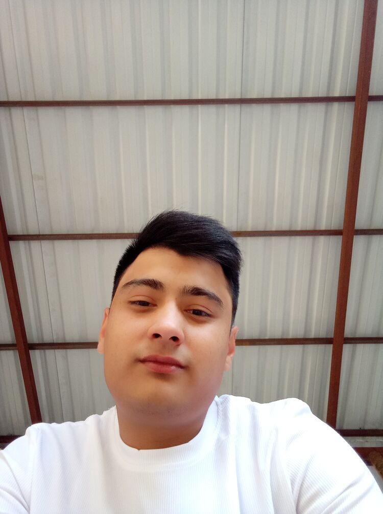 ���������� �������, ���� ������� Sardor, 28 ���, ������������ ��� ������, ����� � ���������