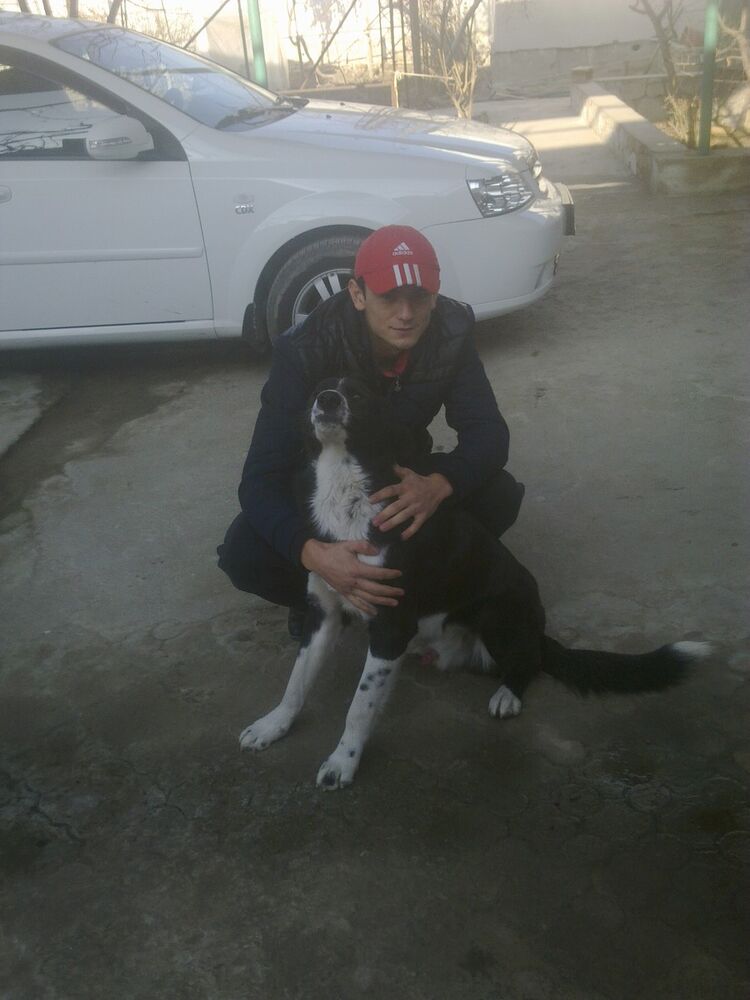 ���� 5537661 ������� Bobur, 30 ���, ���� ���������� � ���������